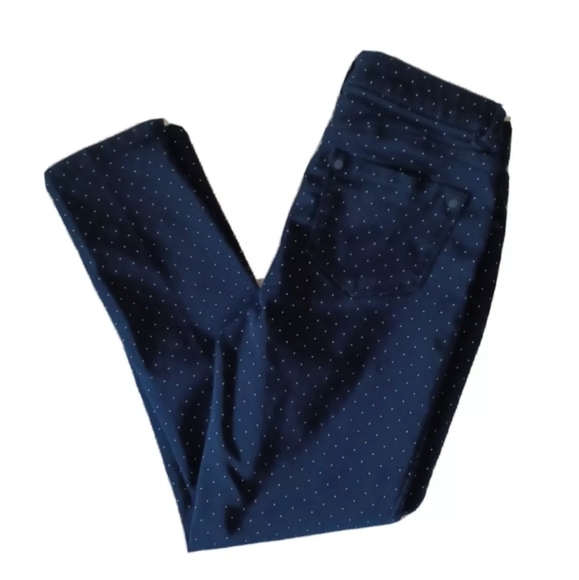 Wit & Wisdom L103Y4SL Ab-Solution Polka Dot Ankle Pants Skimmer High Rise Sz 2 - Picture 3 of 12